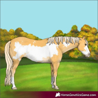 Horse Color:Palomino Frame 