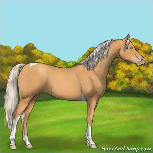 Horse Color:Silver Sable Cream Champagne Tobiano 