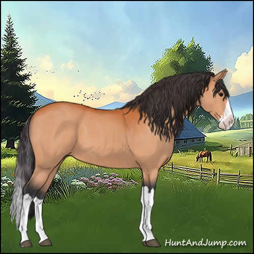 Horse Color:Bay Splash 