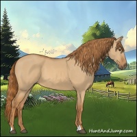 Horse Color:Red Dun 