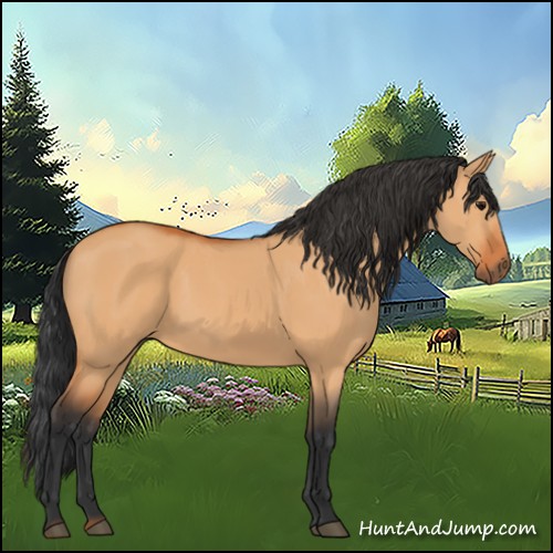Horse Color:Bay Dun