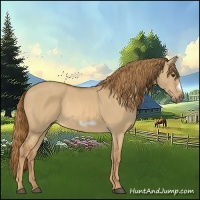 Horse Color:Red Dun Frame 