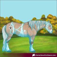 Horse Color:Thunderstruck Silver Bay Dun Sabino 