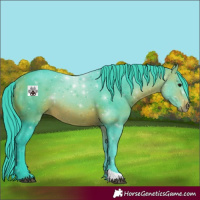 Horse Color:Watercolor Bay 