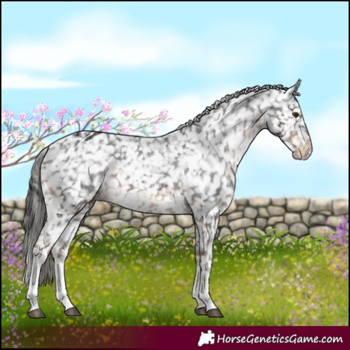 Horse Color:White Spotted Liver Chestnut Snowflake Varnish 