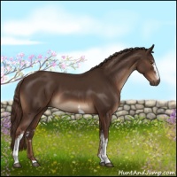 Horse Color:White Spotted Liver Chestnut 