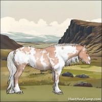 Horse Color:White Spotted Silver Amber Champagne