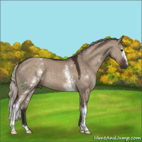 Horse Color:White Spotted Silver Brown Dun 