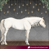 Horse Color:Buckskin Roan Pearl  and Palomino Roan Pearl 