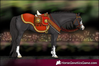Horse Color:Smoky Black 
