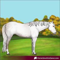 Horse Color:Gray Silver Black Pearl Tobiano 