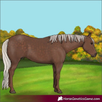 Horse Color:Silver Black 