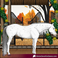 Horse Color:Liver Chestnut Sabino