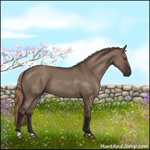 Horse Color:Liver Red Dun Roan Rabicano
