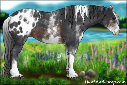 Horse Color:White Spotted Brown Tobiano Appaloosa Rabicano 