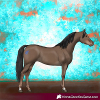 Horse Color:Liver Red Dun Rabicano 