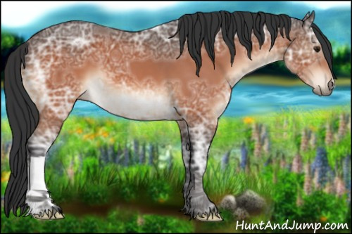 Horse Color:Brown Ice