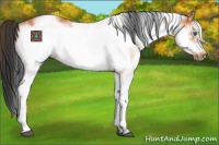 Horse Color:White Spotted Bay Frame 