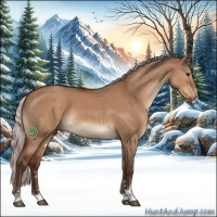 Horse Color:Silver Brown Dun Sabino Rabicano 
