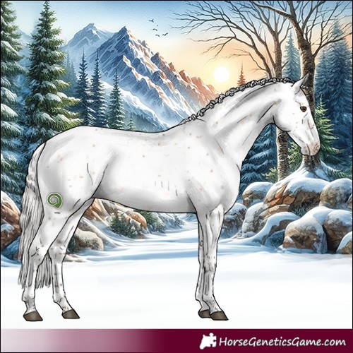 Horse Color:Silver Brown Dun Sabino 