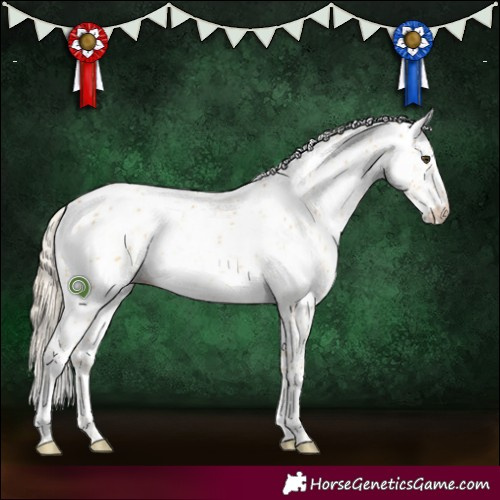 Horse Color:Palomino Dun Sabino Rabicano Brindle 
