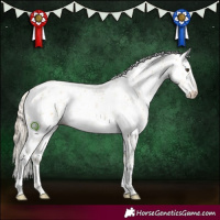 Horse Color:Palomino Dun Sabino Rabicano Brindle