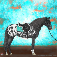 Horse Color:Black Near Leopard 