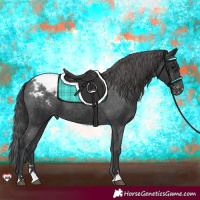 Horse Color:Black Snowcap 