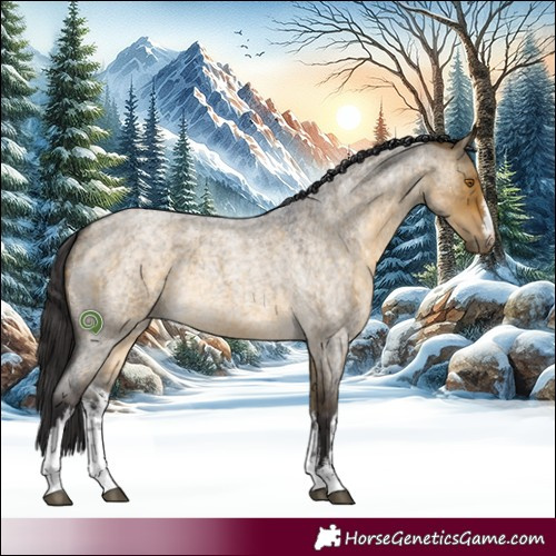 Horse Color:White Spotted Buckskin Roan Dun 