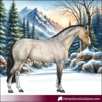 Horse Color:White Spotted Buckskin Roan Dun 