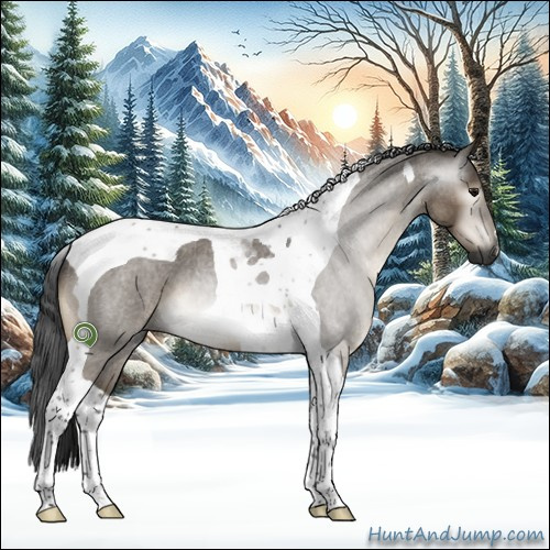 Horse Color:Gray Brown Roan Dun Tobiano 