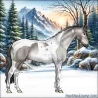 Horse Color:Gray Brown Roan Dun Tobiano 