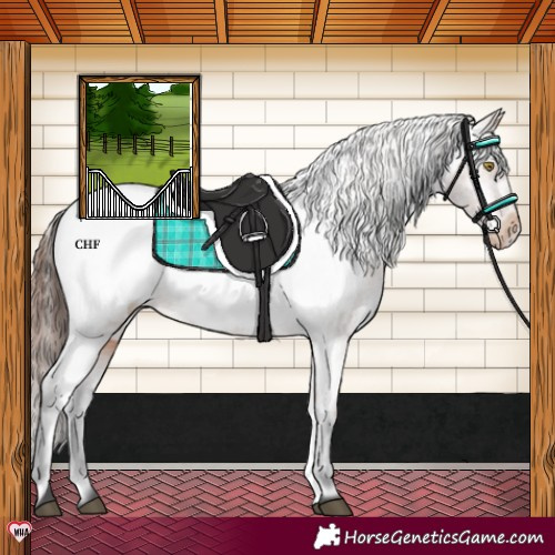Horse Color:Brown Snowcap 