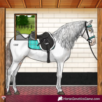 Horse Color:Brown Snowcap 