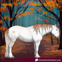 Horse Color:Gray Perlino Sabino Tobiano