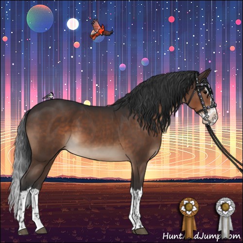 Horse Color:Brown Splash 