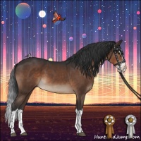 Horse Color:Brown Splash 