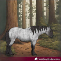 Horse Color:Smoky Blue Roan 