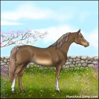 Horse Color:White Spotted Chocolate Palomino 