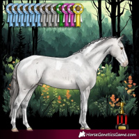 Horse Color:Brown Dun Sabino Tobiano Varnish 
