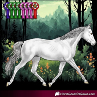 Horse Color:Gray Brown Tobiano Appaloosa 