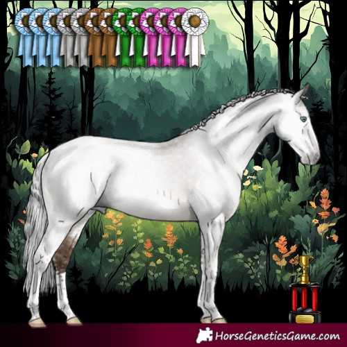 Horse Color:Gray Sable Champagne Dun Sabino Tobiano