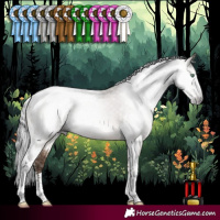 Horse Color:Gray Sable Champagne Dun Sabino Tobiano 