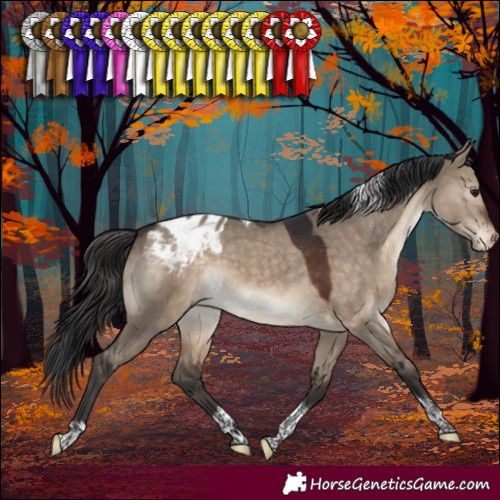 Horse Color:Brown Dun Sabino Tobiano Blanket