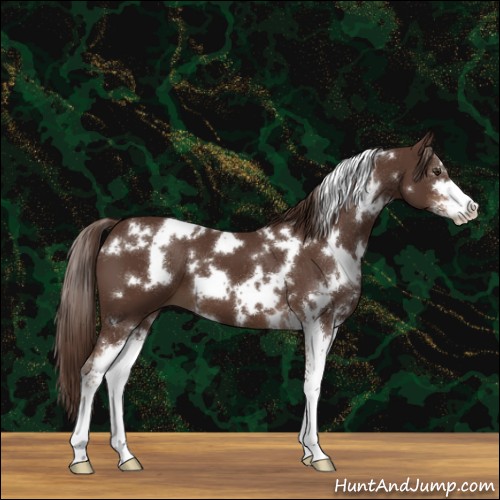 Horse Color:White Spotted Liver Chestnut Sabino 