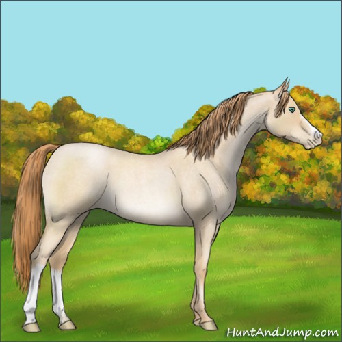 Horse Color:Smoky Blue Roan Pearl 