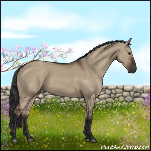 Horse Color:Liver Red Dun Rabicano 