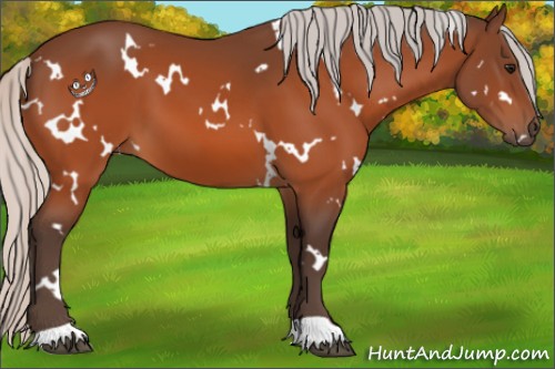 Horse Color:White Spotted Silver Bay 