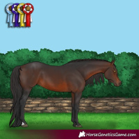 Horse Color:Brown 