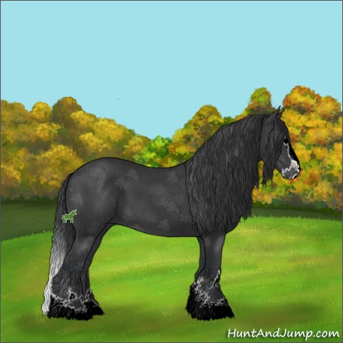 Horse Color:Black Sabino Splash 